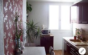 Elegant Apparemment 60M2 Climatise